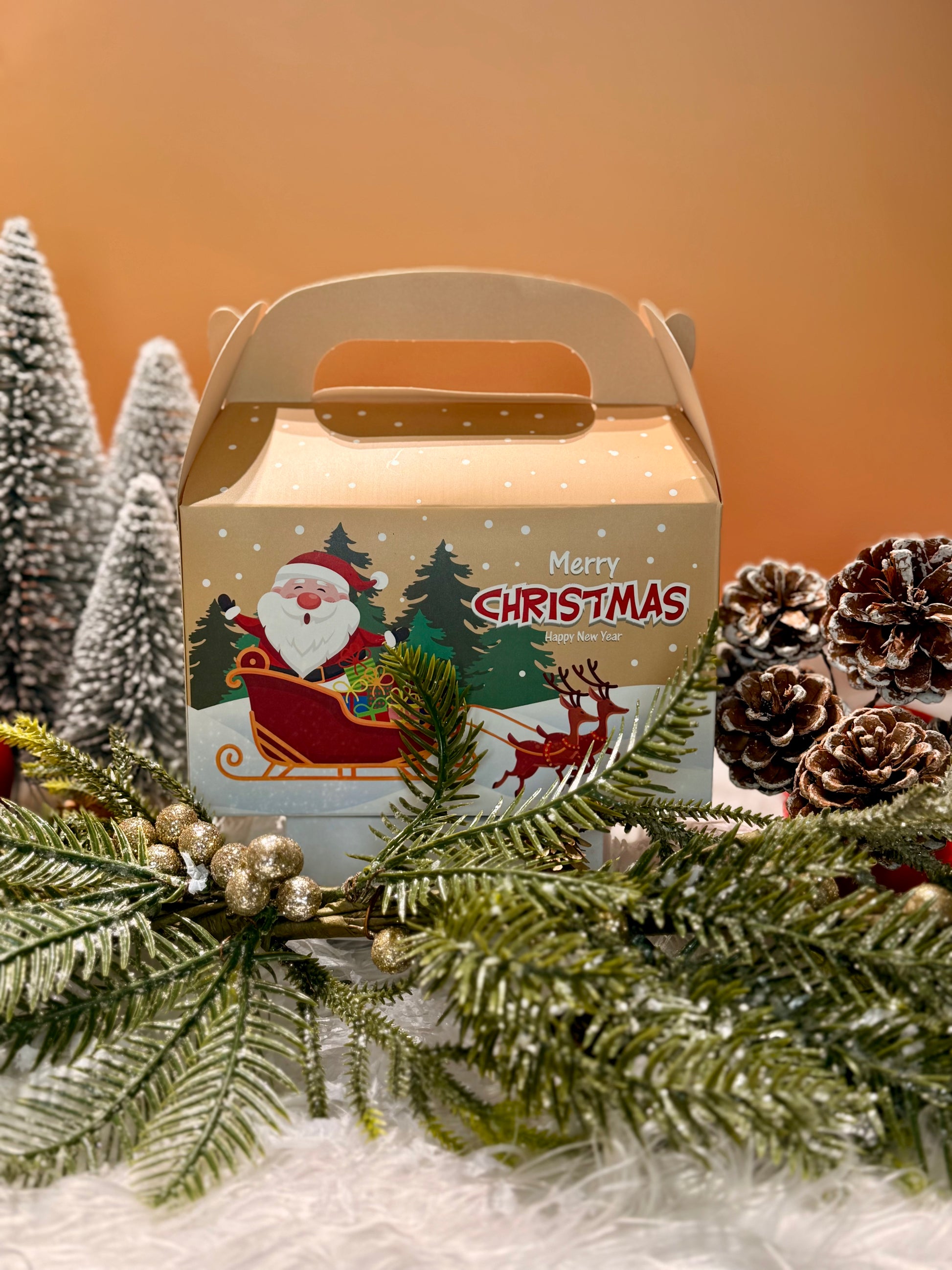 🎁 Box Surprise de Noël