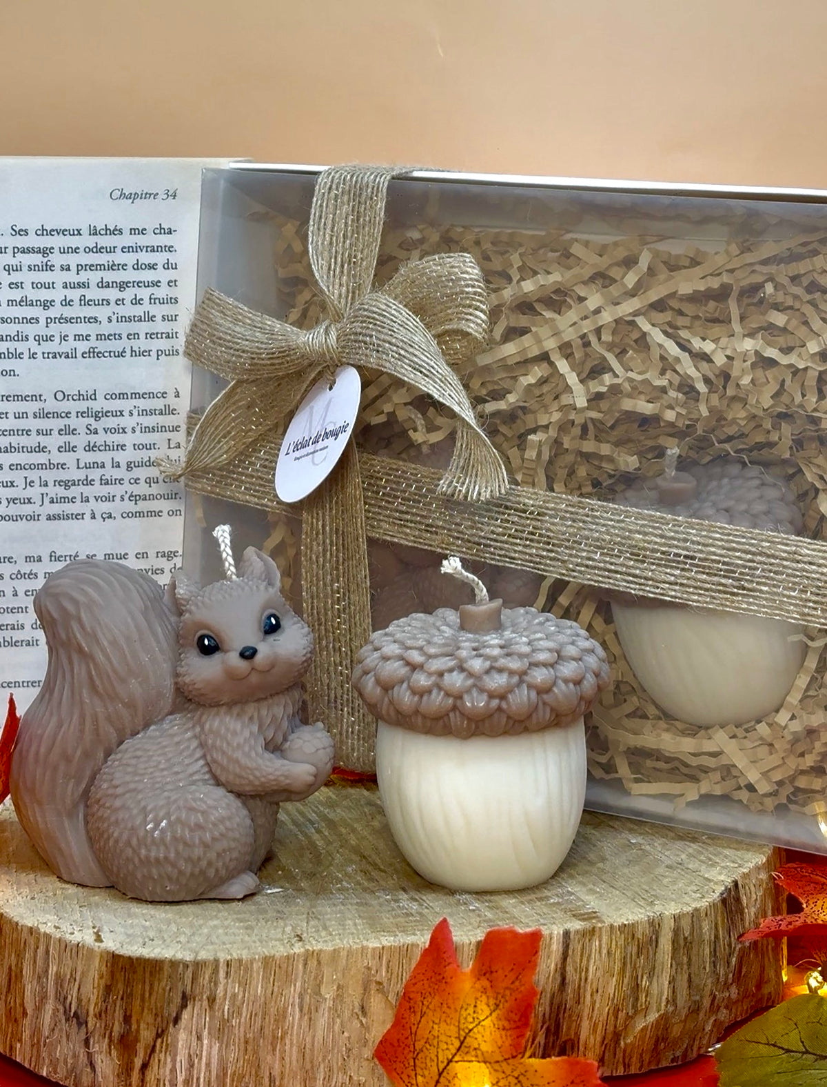 Coffret Ecureil & Gland